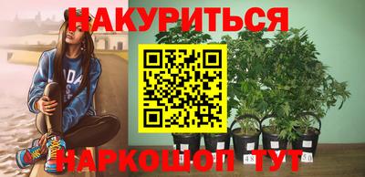 бошки Будённовск