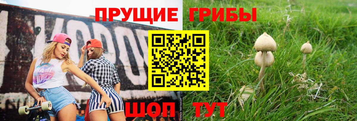 Похвистнево  Псилоцибиновые грибы GOLDEN TEACHER  Галлюциногенные грибы MAGIC MUSHROOMS  Вход с VPN 